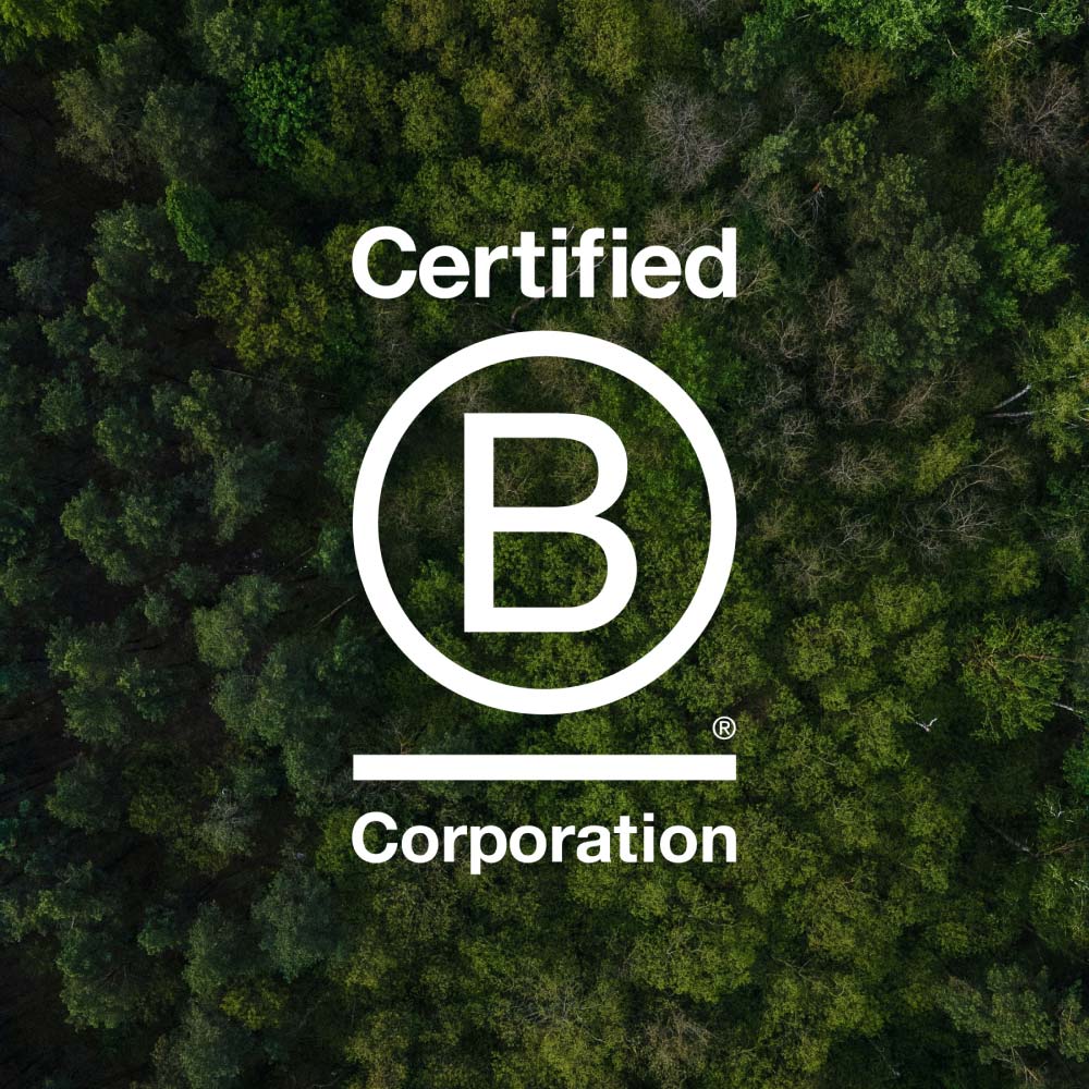 What the heck is a B Corp?