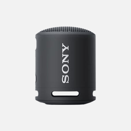 Sony Portable Bluetooth Speaker