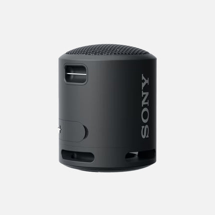 Sony Portable Bluetooth Speaker